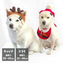 柴犬 犬 防寒 帽子 よだれ掛け イベント 【クリスマスニット帽&スタイ】 豆柴 中型犬 小型犬 犬用品 顔回り28~44cm 首周り25~40cm アクセサリー