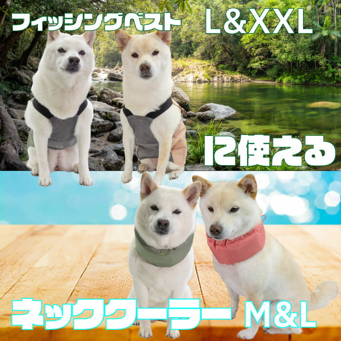 �Ƹ� �� Ǯ����к� �ơ�ICE HOLD������� ñ�� �� 2�ĥ��å� Ʀ�� �淿�� �緿�� ���� ������ ����� ���������꡼ ������