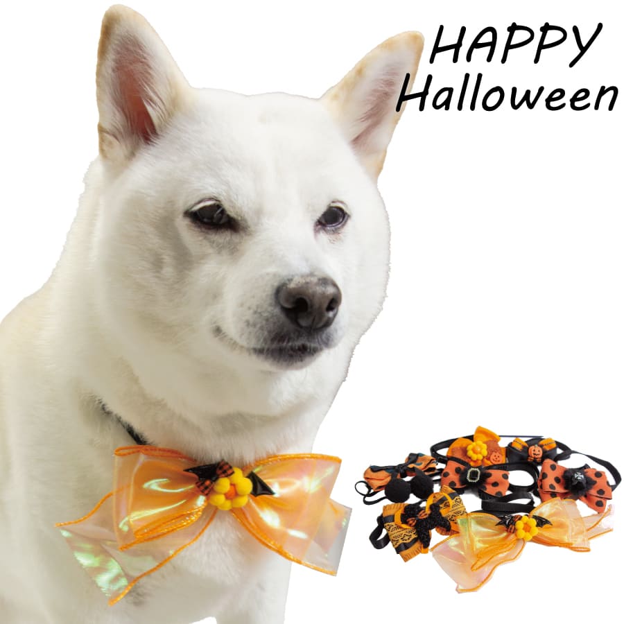 楽天市場】犬 トリミング チョーカーの通販