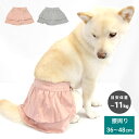 【10%ポイントバック】 犬 マナーパンツ 女の子 柴犬 中型犬 小型犬【サニタリーフリルスカート】5号 腰周り36~48cm 目安体重7~11kg おでかけ 生理 おもらし 介護 メス 女の子 マナーウェア マナー サニタリー