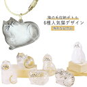 遺毛入れ ペットメモリアルボトル ケース 【6点セット】 ペット 透明 ペット 遺毛 猫のキーホルダー 【6点セット】 毛を保管するボトル かわいい ペットひげ...