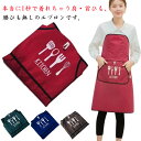 おしゃれ レディース 人気 割烹着 エプロン 防水 保育士 えぷろん 介護士 花屋 保育士 結ばなく ポケット付き メンズ かっぽう着 ワンタッチ ひも無し カフェ 家庭用 エプロン 作業用 DIY ガーデニング 園芸 飲食店