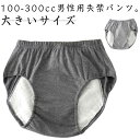 重失禁パンツ 100-300cc 失禁パンツ 介護パンツ 失禁パンツ 失禁ショーツ ショーツ 男性用 中失禁 尿漏れパンツ 介護衣料 メンズ 中失禁パンツ イン...