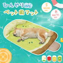 ペット ひんやりマット ペット冷却ベッド スイカベッド マット ペット 犬 猫 犬のベッド わんこ 猫のベット ールシーツ 冷却マット 子犬 子猫 人気 可愛い...