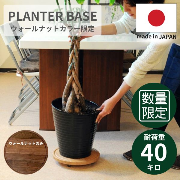 【数量限定・在庫限り】プランターベース ウォールナット キャスター付 木製 プランター置き 北欧/ナチ..