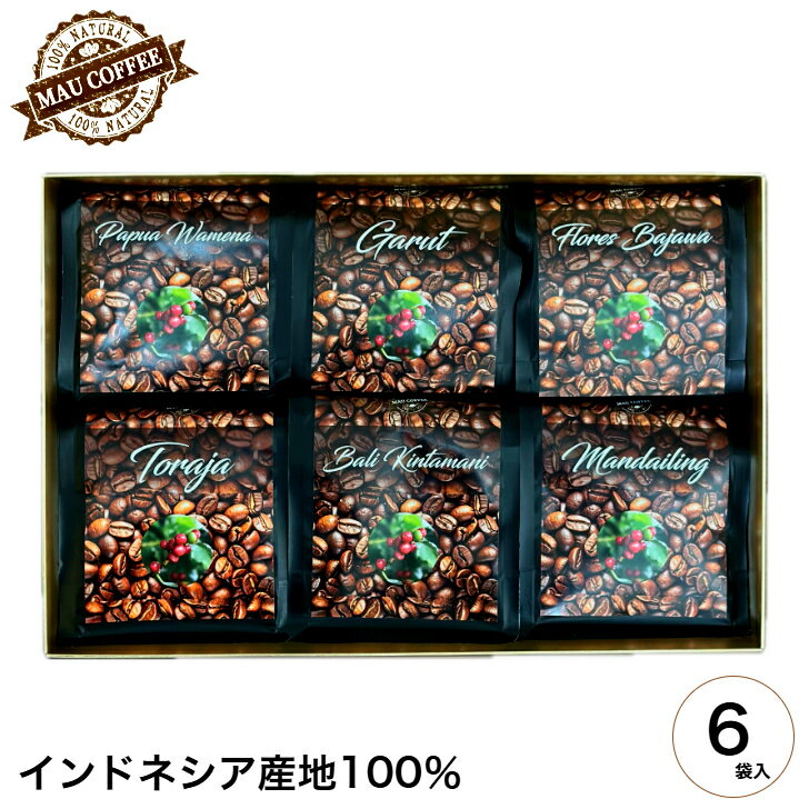 インドネシア 島めぐり コーヒー豆 100g 6袋 純 アラビカ豆 MAU COFFEE コーヒー 豆 コーヒー詰め合わせ おいしいコーヒー豆 おいしい珈琲 レギュラーコーヒー コーヒーセット 珈琲豆 高級コーヒー ギフト 珈琲 ギフト コヒー豆 おしゃれ 贈り物 送料無料