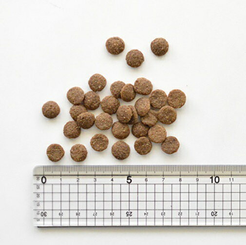 キアオラ ドッグ カンガルー 400g ・ 800g 【 KiaOra 正規品 ドッグフード ドライフード グレインフリー プレミアムフード 高品質 ジビエ 高たんぱく 低脂肪 低カロリー 低コレステロール ハーブ エイジングケア 低アレルギー パピー 成犬 シニア ワンズショップ 】 ones-shop-ec-10000554 ワンズショップ サンプル画像3