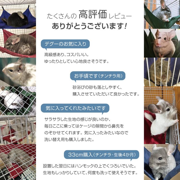 ��ưʪ�� �ϥ��å� ������ 27��27cm 36��36cm 41��41cm ����դ� | �������� ������ �礭�� ���٤� �ݥ��å��դ� ������ ��100�� �ڥå� �ǥ��� �ϥ�ͥ��� ����å� ������� �ϥॹ���� �ͥ��� ���� �ե���å� �˥奢�󥹥��顼 ���������å����˥ޥ�