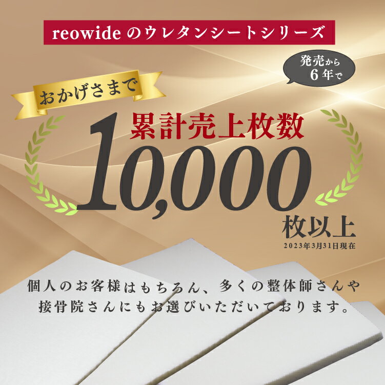 高反発足まくら 45×15cm 高さ15cm 選べるカバーセット | 足枕 高反発 硬め 足置き むくみ フットレスト アームレスト 肘置き クッション 高め フットケア フットピロー 腰痛対策 反り腰 安眠 快眠 足上げ 綿100％ 洗える オックス 北欧 デニム調 おしゃれ かわいい 2