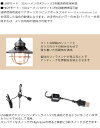 『30%OFF』 Barebones Living / Edison Pendant Light エジソン ペンダントライトLED 『20230006』 『レッド/アンティークブロンズ/ビンテージホワイト』 3