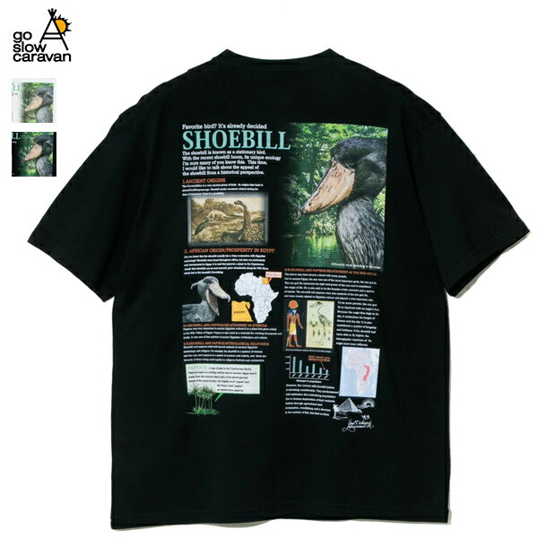 20%OFF | ゴースローキャラバン | ハシビロコウ図鑑TEE | 322622 | Tシャツ | go slow caravan |ユニセックス | 2024春夏 | ネコポス配送