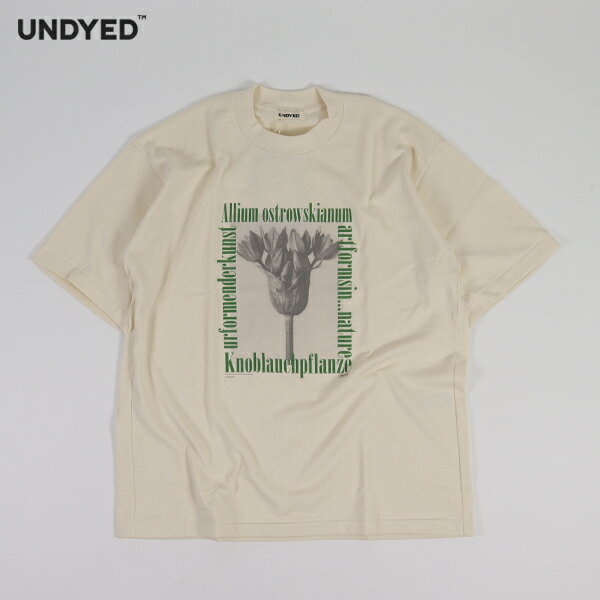 Rakuten - アンダイド UNDYED / カール・ブロスフェルト プリントTシャツ 30/2 Karl Blossfeldt Pt-T / ALLIUM / 26S348C / 半袖 アートT 無染色 サステナブル メンズ レディース ユニセックス / 日本製 / 2026春夏 / ネコポス配送