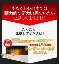 テンザーゴールド1箱(90粒約30日分)男性サプリメント活力