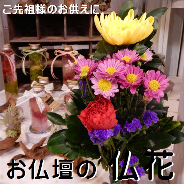 ΦΦΦΦΦΦΦ　商品説明 ΦΦΦΦΦΦΦ 　　　　　　　　　　　　　【植物の内容】 商品名 関西風の仏花 ※周年作成している通常の仏花となります。 1つの価格となっております。 一対をお求めのお客様は2つお買い求め下さい。 使用花材：下草、大菊、小菊、スターチス、カーネーションなど ※写真はイメージです。季節により花材が多少異なる場合がありますのでご了承下さい。 商品全体の大きさ 高さ　約35センチ〜　横　約20センチ〜 仏花の切り口はお届けまで鮮度を保つ為保水処理をしております。 お届け指定日 ご希望のお届け日は注文画面STEP3でご指定できます。 仏花は鮮度を保つため北海道・沖縄・東北・離島はお届けできませんのでよろしくお願い致します。 鮮度を保つ為、お届け時間はできるだけ午前中のお届けを指定お願いします。 お届けエリアやご都合等でお時間指定はさせて頂きます。 お届けまで仏花が痛まないように 　　　　　　　　　切り口を保水してお届け致しております。 ■6000円以上で1配送先が送料無料になりますのでお得です♪♪ 『24時間ご注文承っております』 ※営業時間外及び、定休日は翌日のご連絡になりますのでご了承ください。 ΦΦΦΦΦΦΦ　コメント ΦΦΦΦΦΦΦ ■お客様に代わって気持ちを伝えます。 ■日頃の感謝の気持ち　お祝い事に・・・　