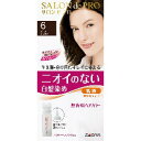 ダリヤ サロンドプロ 無香料ヘアカラー 早染め乳液 6 ダークブラウン