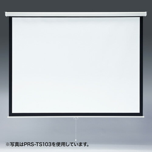 ����掠�ץ饤 PRS-TS85 �ץ����������������꡼�� �ߤ겼���� 85������ PRSTS85