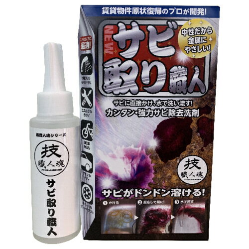 技職人魂 サビ取り職人 サビ除去用洗剤 100ml 1