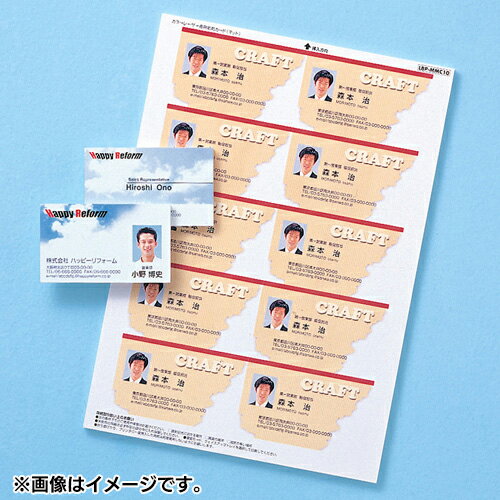 サンワサプライ LBP-MMC10N カラーレーザー用名刺 つやなし マット 10シート 100カード入 LBPMMC10N