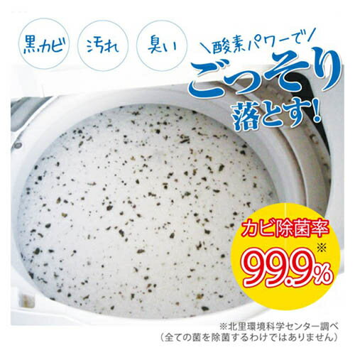 シャボン玉石けん 洗たく槽クリーナー 500g
