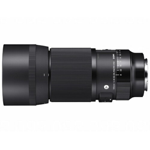 yۏؕtzVO}(SIGMA) 105mm F2.8 DG DN MACRO \j[E}Egp ArtC Y