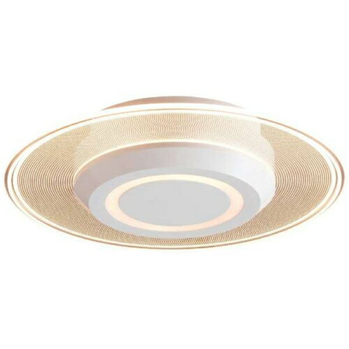 アイリスオーヤマ Iris Ohyama SCL-75L-LGP 小型シーリングライト 導光板 750lm 電球色 SCL75LLGP