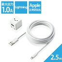 エレコム ELECOM MPA-ACL06WF(ホワイトフェイス) 5W Lightningケーブル付属 AC充電器 USB充電器 2.5m(2)