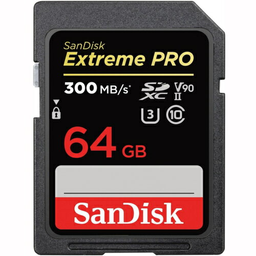 SanDisk(TfBXN) SDSDXDK-064G-JNJIP GNXg[ v SDXC UHS-IIJ[h 64GB