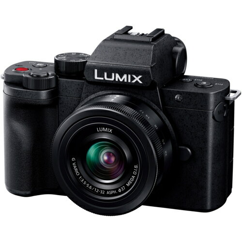 【長期保証付】パナソニック(Panasonic) LUMIX DC-G100DK レンズキット マイクロフォーサーズ ミラーレス一眼カメラ
