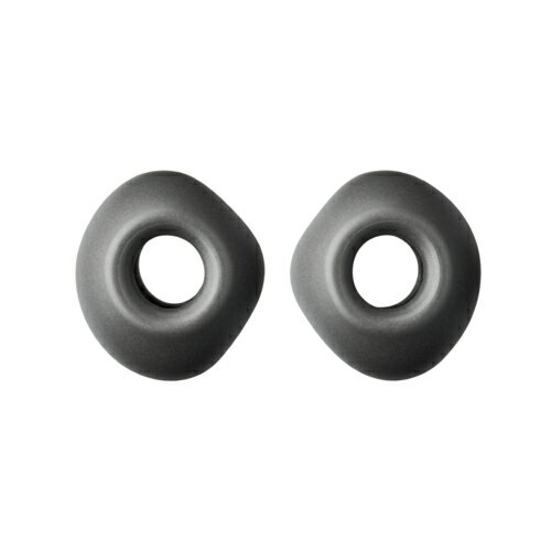 オーディオテクニカ(audio-technica) AT-ER500 L イヤピース Lサイズ