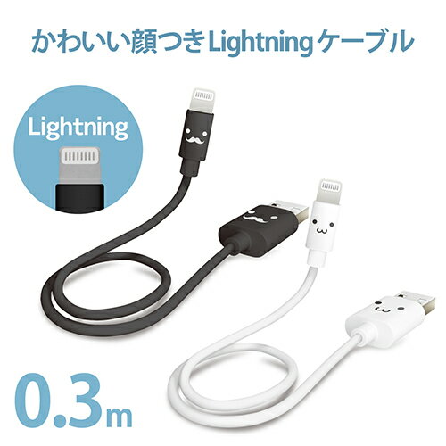 【5セット】 E-SELECT MFI認証ライトニングカラーケーブル 1.5m ライトブルー ES-LTC15MLBX5 iPhone(代引不可)【送料無料】