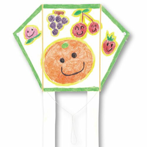 アーテック atぐにゃぐにゃ凧 21207 お正月 凧 凧揚げ カイト 伝承玩具 無着色 組立済 手作り お絵かき 昔遊び 外遊び レジャー