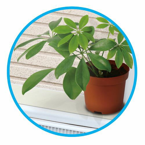 ブリーズライト スタンダード レギュラー ベージュ(10枚入) 126003099