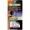ray-out(レイ・アウト) RTP48FT/P1 iPhone16Plus用/iPhone15Plus/ProMax用 ガラスコートフィルム 覗き見防止 光沢(2)