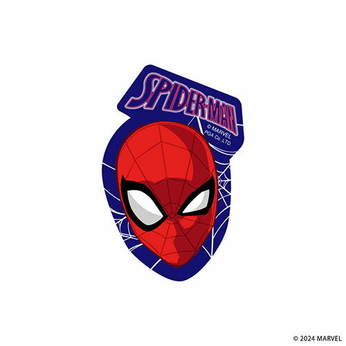 PGA PG-DSTK40SPM(���ѥ������ޥ�) ���ƥå���