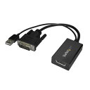 StarTech(スターテック) DVI2DP2 DVI - DisplayPortアダプタ USB給電対応(2)