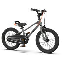 ロイヤルベビー(RoyalBaby) 子供用自転車 Royalbaby EZ Freestyle 16インチ グレー(4)