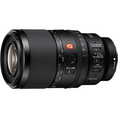 SONY - 【長期保証付】ソニー(SONY) FE 100mm F2.8 Macro GM OSS ソニーEマウント SEL100M28GM 中望遠マクロレンズ
