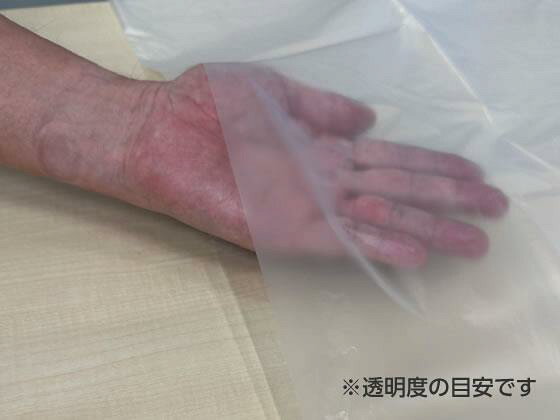 Forestway 詰替用ゴミ袋薄手タイプ 半透明 45L 100枚×12