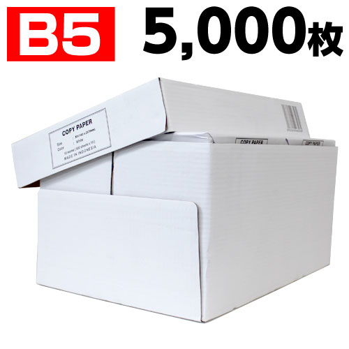 コピー用紙 B5 5000枚 高白色 500枚 10冊 印刷用紙 白紙 用紙 B5サイズ PPC用紙 OA用紙 送料無料 一部地域除く 