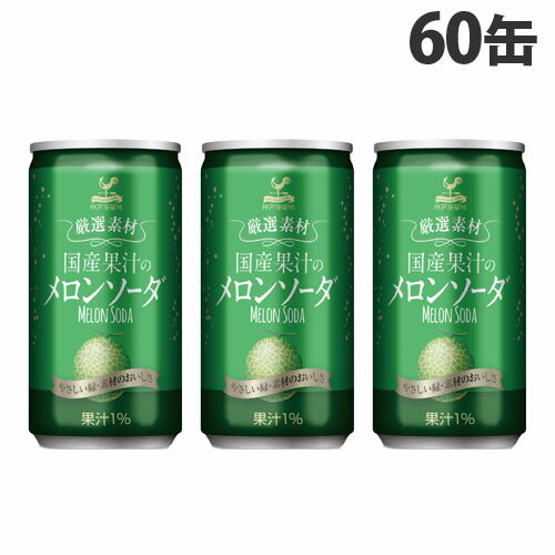 『賞味期限：23.08.31』富永貿易 神戸居留地 厳選素材 メロンソーダ 185ml×60缶のサムネイル