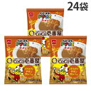 『賞味期限:25.12.31』ベビースター ドデカイラーメン CoCo壱番屋 パリパリチキンカレー味 おやつカンパニー 60g 24袋