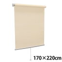 【高品質&高機能】 規格品『ティオリオ』 ロールスクリーン 無地防炎 170×220 TR-3165 アプリコット【代引不可】【送料無料(一部地域除く)】