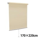 【高品質&高機能】 規格品『ティオリオ』 ロールスクリーン 無地防炎 170×220 TR-3137 シナモン【代引不可】【送料無料(一部地域除く)】