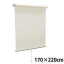 【高品質&高機能】 規格品『ティオリオ』 ロールスクリーン 無地防炎 170×220 TR-3135 ココ【代引不可】【送料無料(一部地域除く)】
