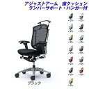 『ポイント10倍』『受注生産品』 オカムラ チェア コンテッサ セコンダ ハイバック ポリッシュフレーム ブラックボディ 座クッション 可動肘 ランバーサポート付 ハンガー付 CC84BS『代引不可』『送料無料(一部地域除く)』