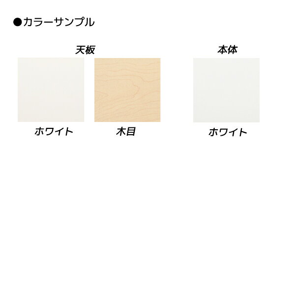 ライオン事務器 平机 ビジネスデスク LDVシリーズ W1600×D600×H720mm LDV-M166N【代引不可】【送料無料(一部地域除く)】 [2]