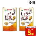 【SS限定エントリーでポイント5倍】日東紅茶 しょうが紅茶 ティーバッグ 20袋入×3個 紅茶 生姜 あったかい 温活 冷えとり