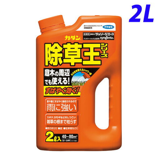 フマキラー カダン 除草王シリーズ ザッソージエース 2L