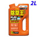 フマキラー カダン 除草王シリーズ ザッソージエース 2L