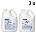 花王 ビオレU 泡ハンドソープ 業務用 4L×3個 ハンドケア 泡 ハンドソープ 殺菌 弱酸性 『医薬部外品』『送料無料(一部地域除く)』